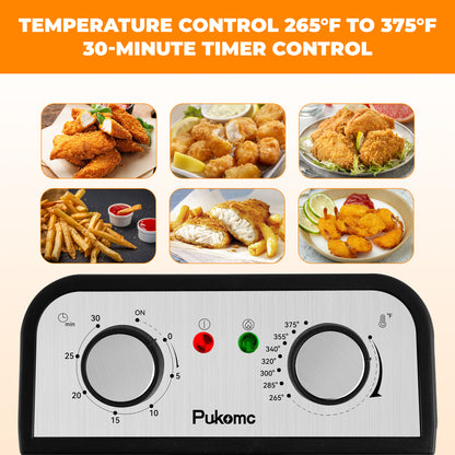 TSAF40DH dual pot electric fryer