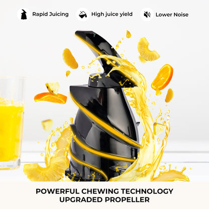 Black juice extractor