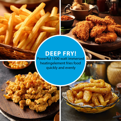 130DL dual pot electric fryer