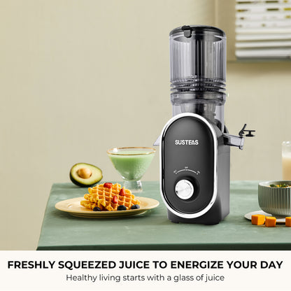 Black juice extractor