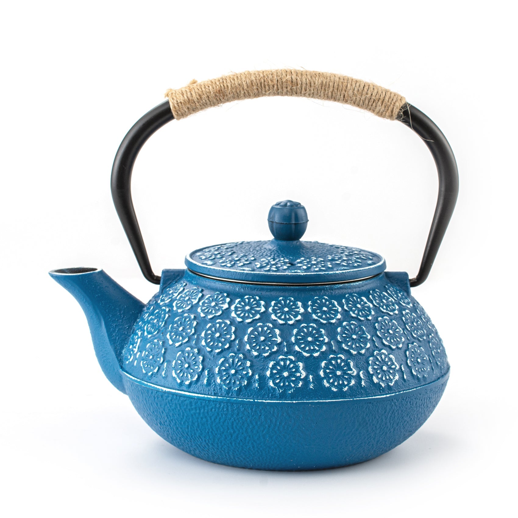 Multicolor Cast Iron Japanese Teapot