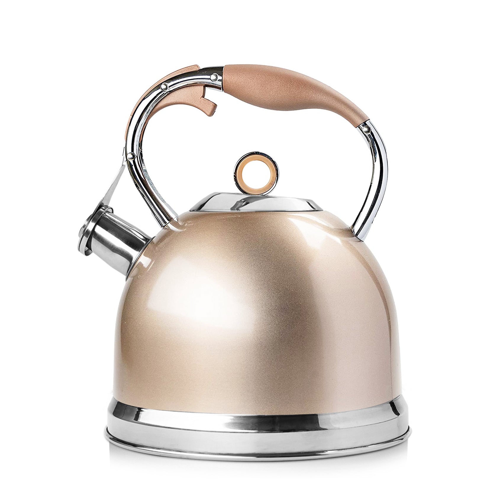 3 Liters Modern Stainless Steel Whistle Kettle-Swan Kettle Black