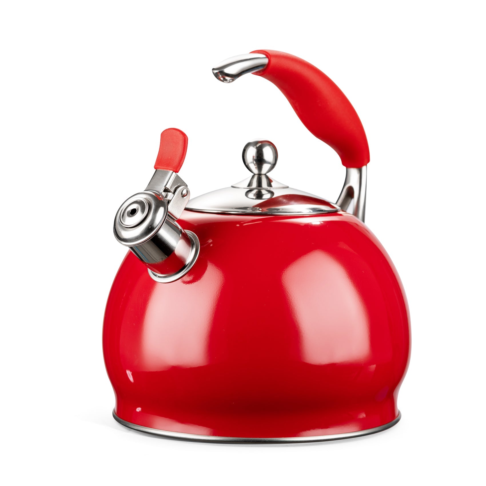 Modern Stainless Steel Whistling Teapot-Stove Top Teapot