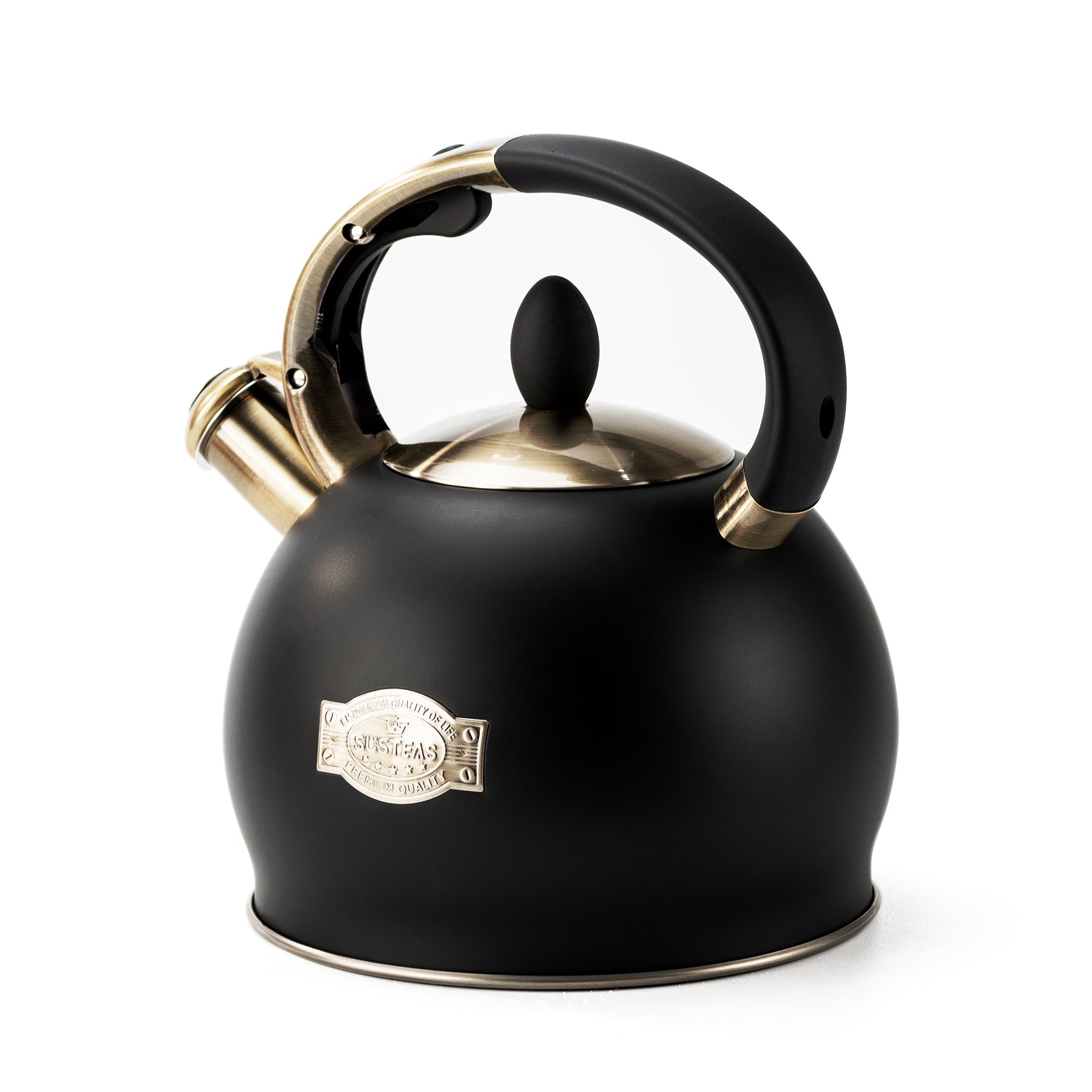 Modern Stainless Steel Whistling Teapot-Stove Top Teapot