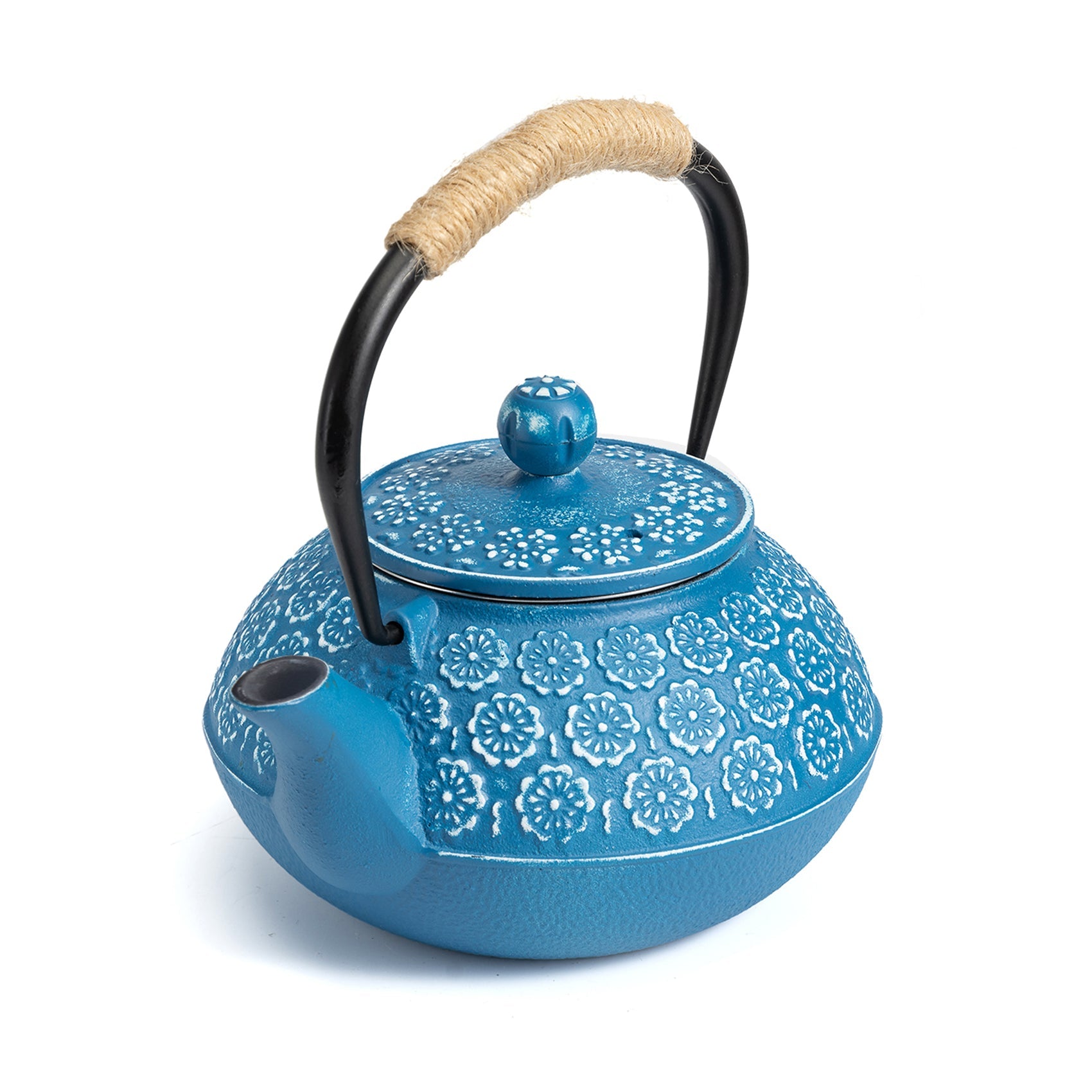 Multicolor Cast Iron Japanese Teapot