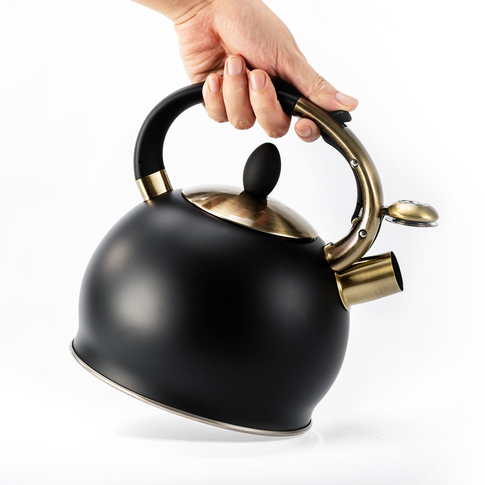 Modern Stainless Steel Whistling Teapot-Stove Top Teapot