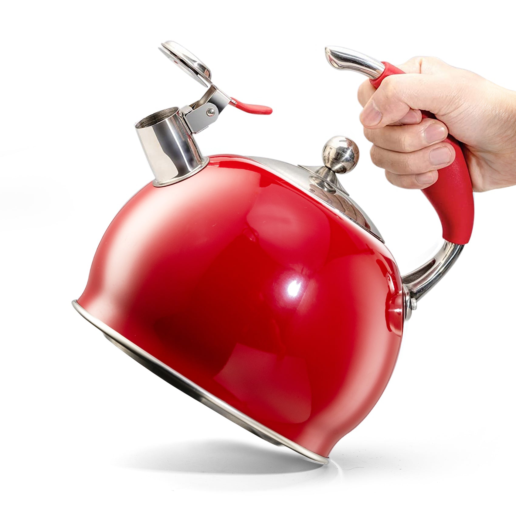 Modern Stainless Steel Whistling Teapot-Stove Top Teapot