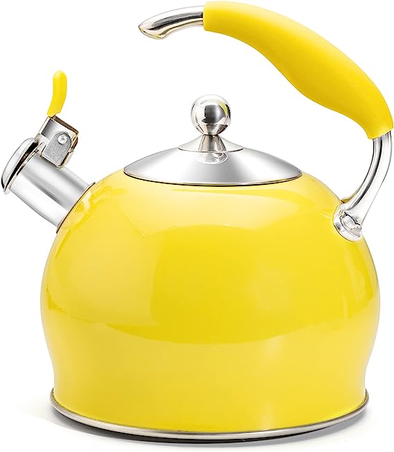 Modern Stainless Steel Whistling Teapot-Stove Top Teapot