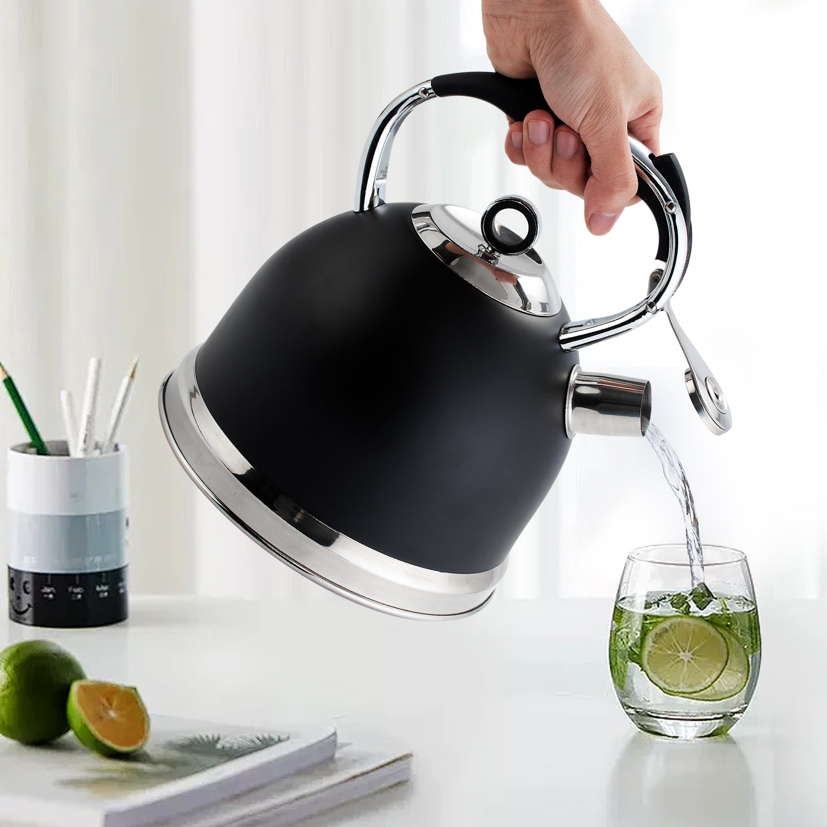 3 Liters Modern Stainless Steel Whistle Kettle-Swan Kettle Black